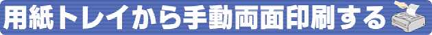 pgC蓮ʈ